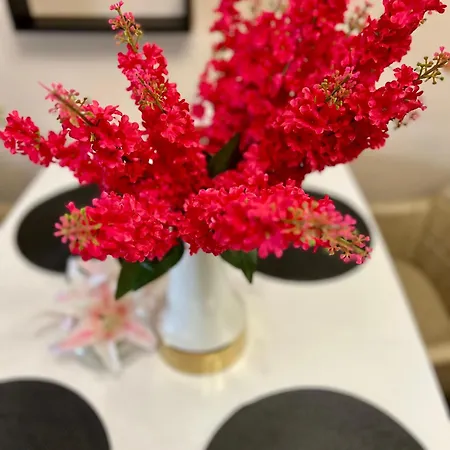 Apartamento Urban Nest - Near Center And Bus Station